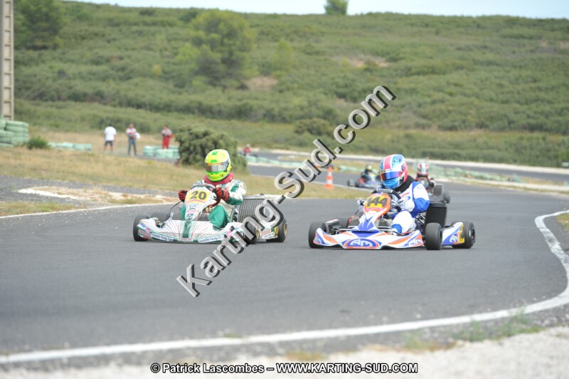 DSC (3528).JPG